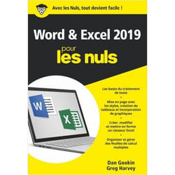 Word Et Excel 2019 Poche Pour Les Nuls