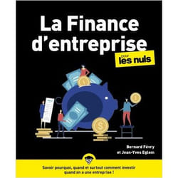 La Finance d'entreprise Pour les Nuls NE (Broché)
