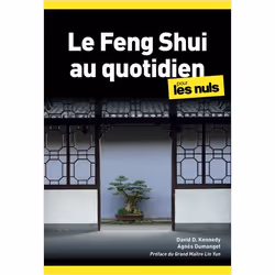 ISBN 9782412064764, Français, 384 pages