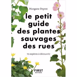 ISBN 9782412067116, Français, Livre broché, 160 pages