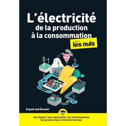 ISBN L'électricité, de la production à la consommation pour les nuls : Le livre de Enguerand Renault