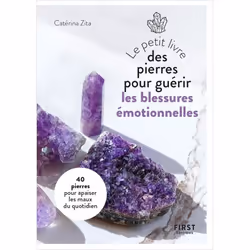 ISBN 9782412069813, Français, Livre broché