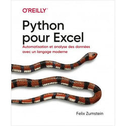 Python pour Excel - Automatisation et analyse des données avec un langage moderne (Broché)
