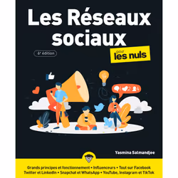 ISBN Les Réseaux sociaux Pour les Nuls, 6e : Le livre de Yasmina Salmandjee, Computer science, 369 pages