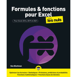 ISBN Formules et fonctions pour Excel Pour les Nuls : Le livre de