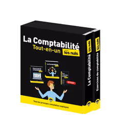 ISBN La Comptabilité Tout-en-un pour les Nuls, 2e éd : Le livre de Laurence Thibault, Science & nature, 860 pages