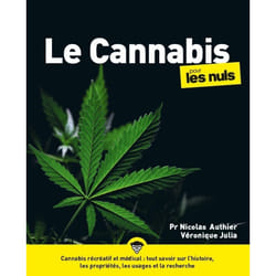 ISBN Le Cannabis pour les Nuls, grand format : Le livre de Nicolas Authier, Véronique Julia