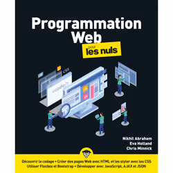 ISBN Programmation Web pour les Nuls : Le livre de Chris Minnick, Nikhil Abraham, Eva Holland, Computer science, 420 pages