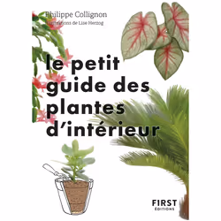 ISBN Le Petit Guide jardin des plantes d'intérieur : Le livre de Philippe Collignon, Lise Herzog, métier & loisirs, 160 pages