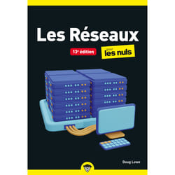 ISBN Les Réseaux pour les Nuls poche - 13e édition : Le livre de Doug Lowe