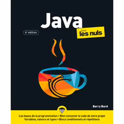 ISBN Java pour les Nuls - 6e édition : Le livre de Barry Burd, Computer science, 540 pages