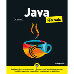 ISBN Java pour les Nuls - 6e édition : Le livre de Barry Burd