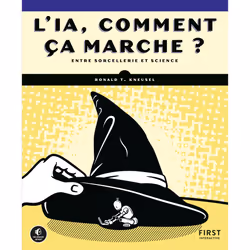 ISBN L'IA, comment ça marche ? : Le livre de Ronald T. Kneusel, Computer science, 180 pages