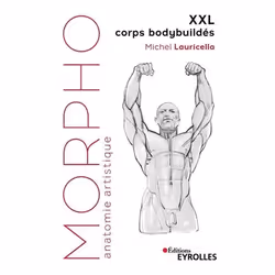 ISBN Morpho XXL corps bodybuildés, Livre broché, 96 pages