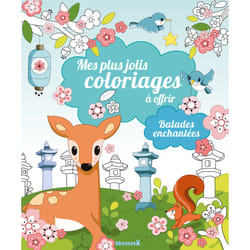 ISBN Mes plus jolis coloriages à offrir - Balades enchantées : Le livre de Chrystèle Lim