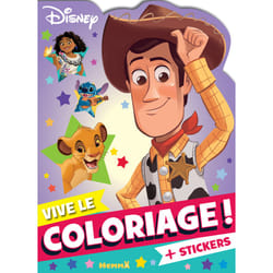 ISBN Disney - Vive le coloriage ! (Woody) - + stickers : Le livre de Collectif