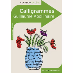 ISBN Calligrammes, Français, 224 pages