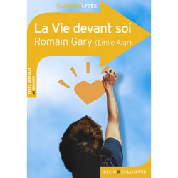 ISBN La Vie Devant Soi, Français, 256 pages