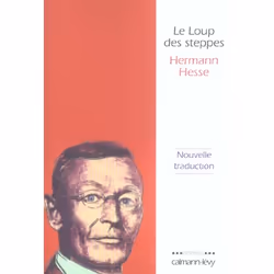 ISBN Le Loup Des Steppes, Littérature, Français, Livre broché