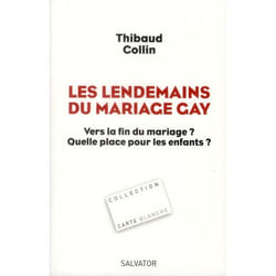 Les lendemains du mariage gay