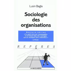 ISBN Sociologie Des Organisations, société, Français, Livre broché