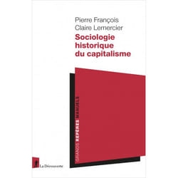 Sociologie historique du capitalisme (Broché)
