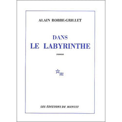 Dans le labyrinthe