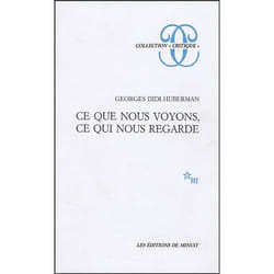 Ce que nous voyons, ce qui nous regarde