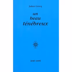 ISBN Un Beau Tenebreux, Romance, Français, Livre broché
