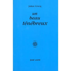 Beau ténébreux