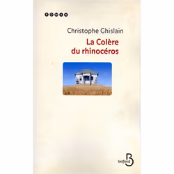 ISBN 9782714446176, Français, Livre broché, 336 pages