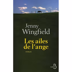 ISBN Les Ailes De L'Ange, Littérature, Français, Livre broché