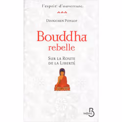 ISBN 9782714450098, Français, Livre broché, 300 pages