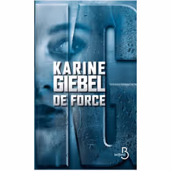 ISBN 9782714459633, Français, Livre broché, 528 pages