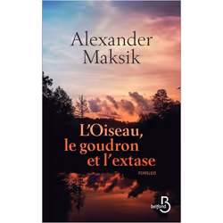 ISBN 9782714475992, Français, Livre broché, 464 pages