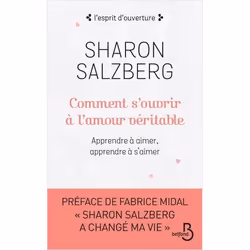 ISBN 9782714476203, Français, Livre broché, 352 pages
