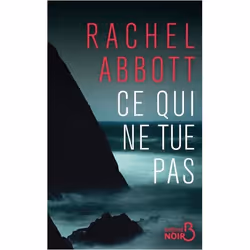 ISBN 9782714480828, Français, Livre broché, 384 pages