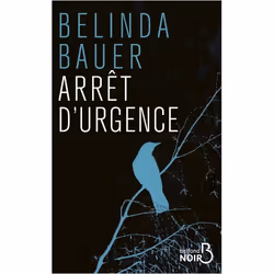 ISBN 9782714480835, Français, Livre broché, 400 pages