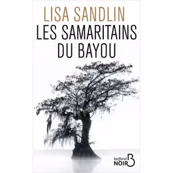 ISBN 9782714480880, Français, Livre broché, 336 pages