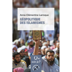 Géopolitique des islamismes