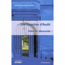 ISBN Les Comites D'Audit, Business & finance, Français, Livre broché