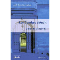 Comites d'audit (les)
