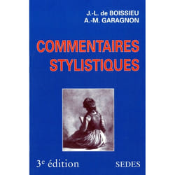 Commentaires stylistiques
