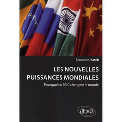 Les nouvelles puissances mondiales. Pourquoi les BRIC changent le monde