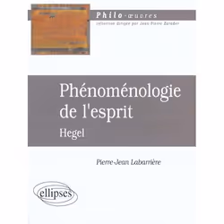 ISBN Hegel Phenomenologie De L'Esprit, philosophie, Français, Livre broché