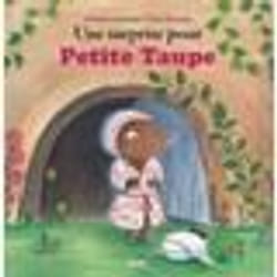 Auzou Une Surprise Pour Petite Taupe