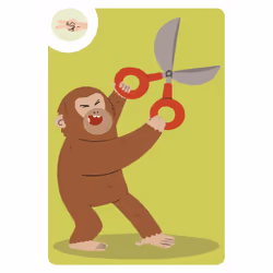Auzou Jeu de Tok tok monkey - logique et rapidité !, Jeu de cartes, 5 an(s), 5 min