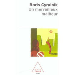 Un merveilleux malheur (Poche)