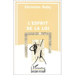 L'esprit de la loi