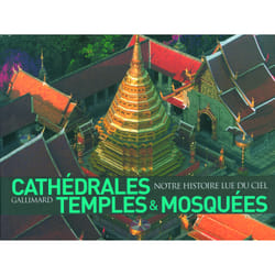 Cathédrales, temples & mosquées - notre histoire lue du ciel